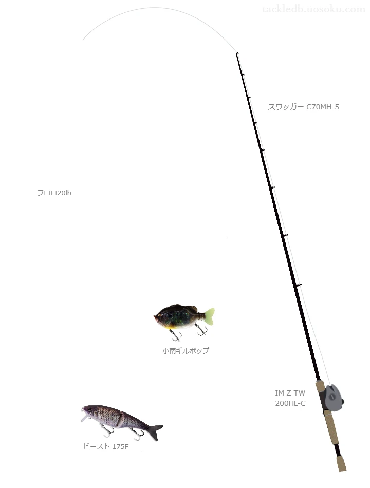 スワッガー C70MH-5とIM Z TW 200HL-Cによる高級バス釣りタックル【仮想インプレ】