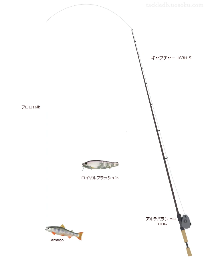 アディクトフロロ 16lbをキャプチャー 163H-5と使用したベイトタックル【仮想インプレ】