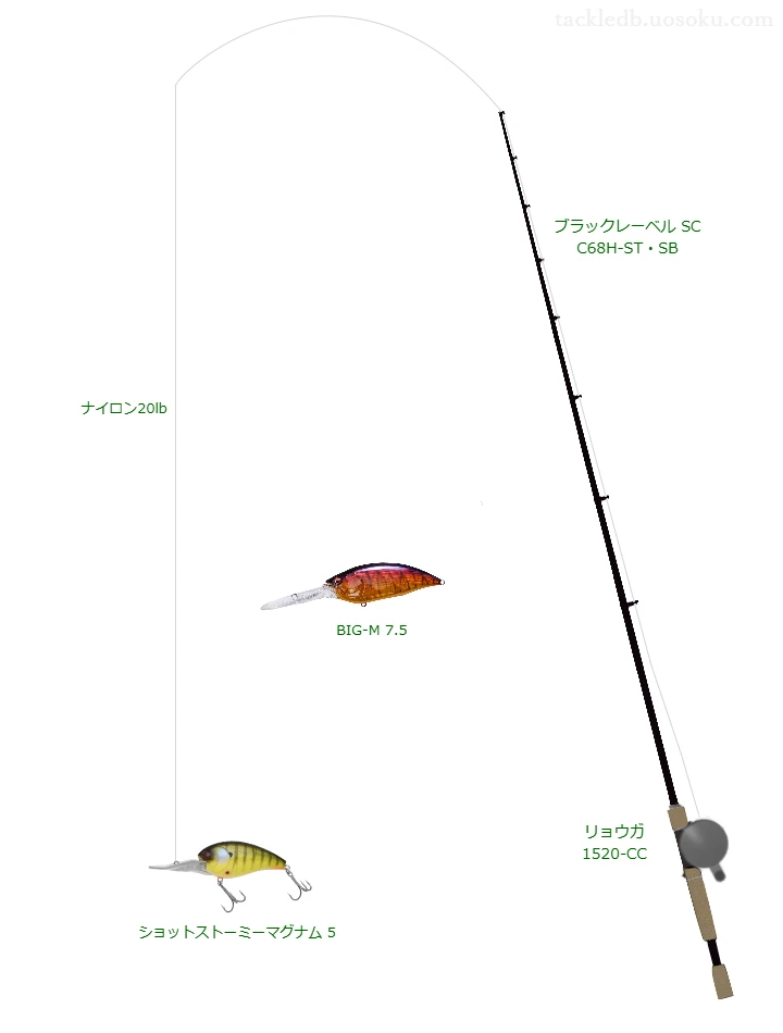 ショットストーミーマグナム 5のためのベイトタックル。ダイワのロッドとダイワのリール