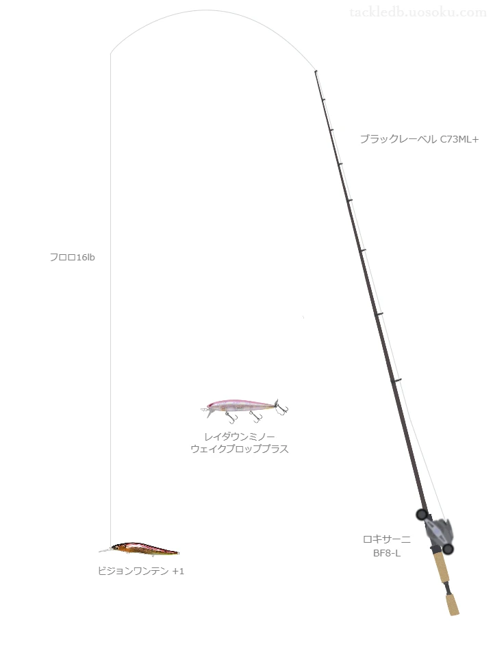 ブラックレーベル C73ML+でジャークベイトを使うバス釣りタックル【仮想インプレ】