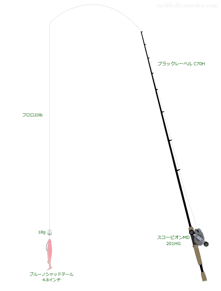 ブラックレーベル C70H,スコーピオンMD 201HG,ワームを使うバス釣りタックル【仮想インプレ】