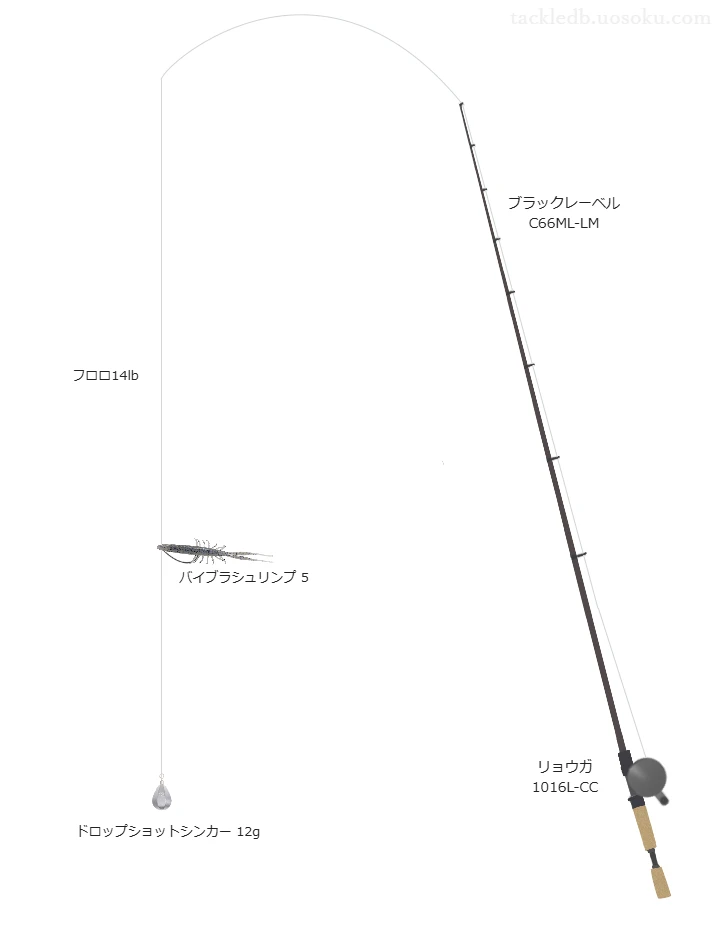 ブラックレーベル C66ML-LMとダイワのリールでバイブラシュリンプ 5"ヘビダンを使用するタックル
