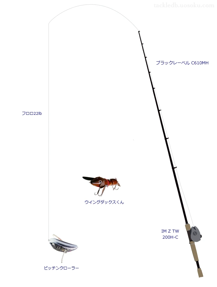 ピッチンクローラーのためのバス釣りタックル【羽根モノ】