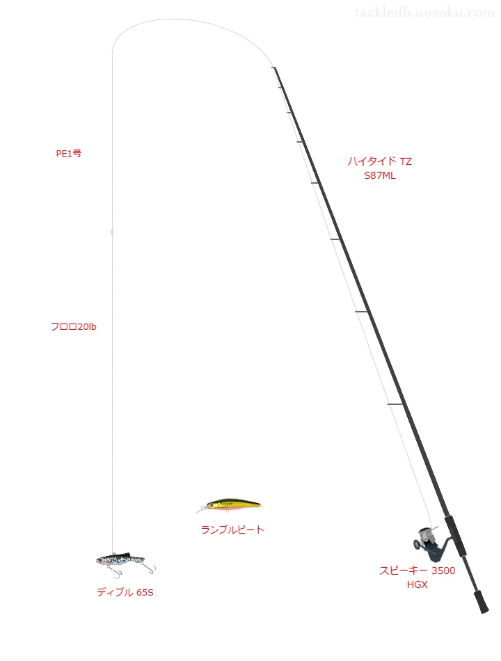 ショアシーバスに関するタックル、仕掛け図解