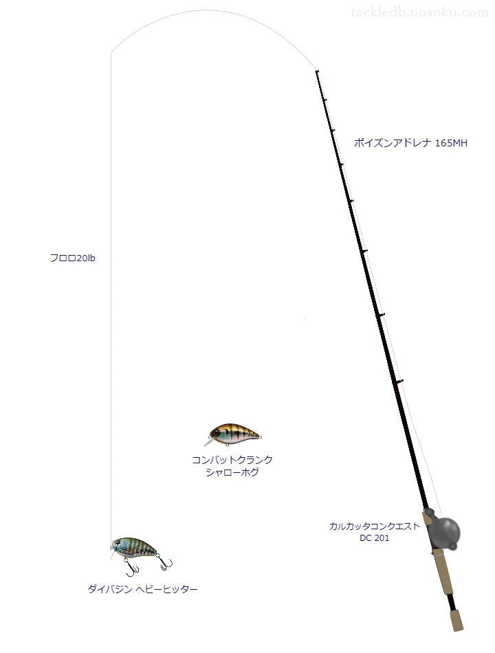 ダイバジン ヘビーヒッターのためのベイトタックル。シマノのロッドとシマノのリール