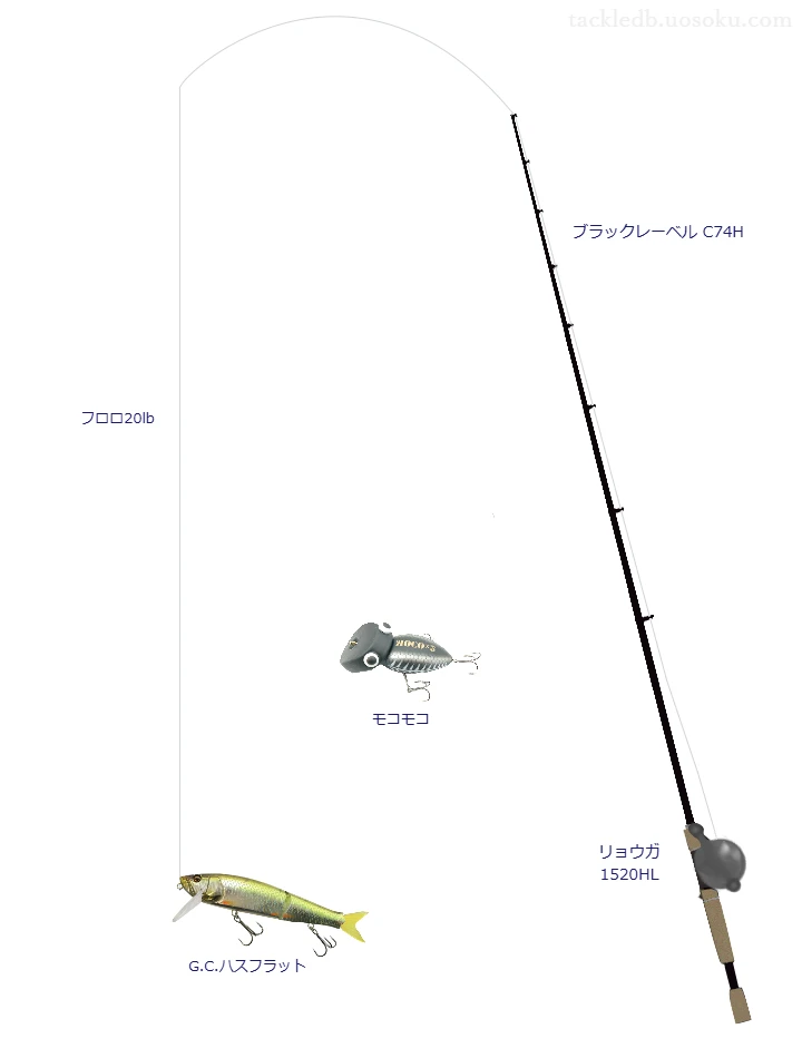ブラックレーベル C74Hとリョウガ 1520HLによる高級バス釣りタックル【仮想インプレ】