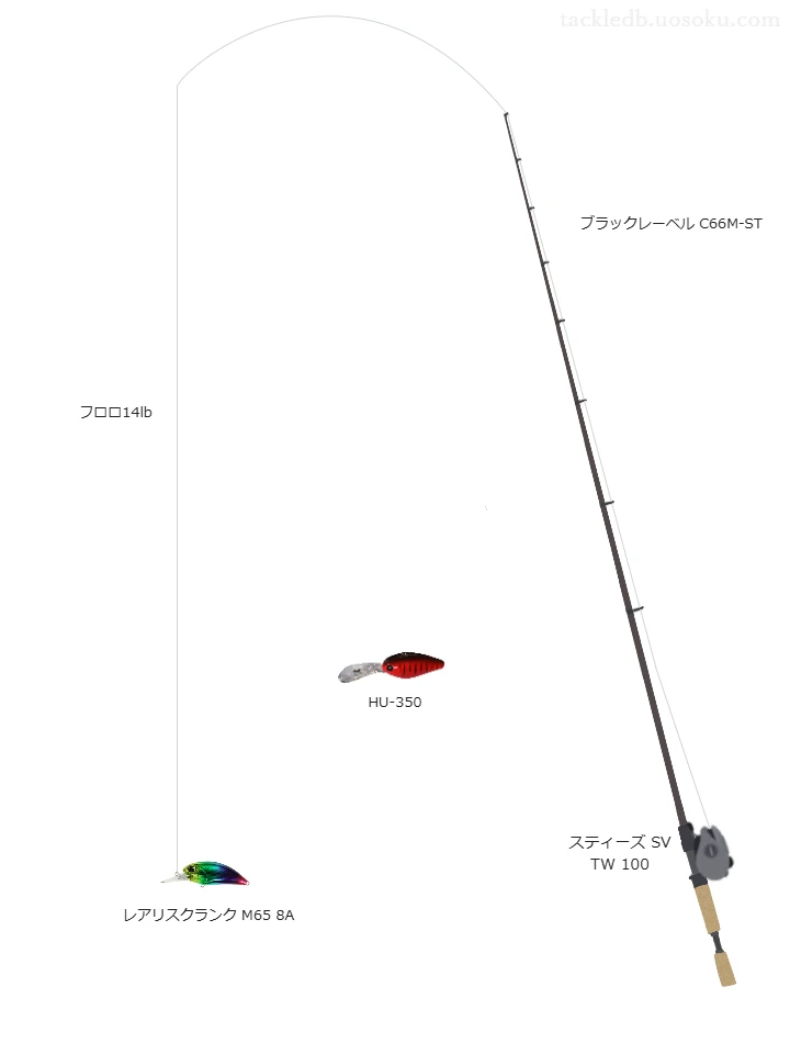 バス-X フロロ 14lbをブラックレーベル C66M-STと使用したベイトタックル【仮想インプレ】