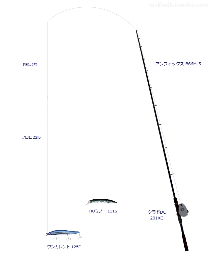 アンフィックス B66M-5とミノーによるボートシーバスタックル【Vインプレ】