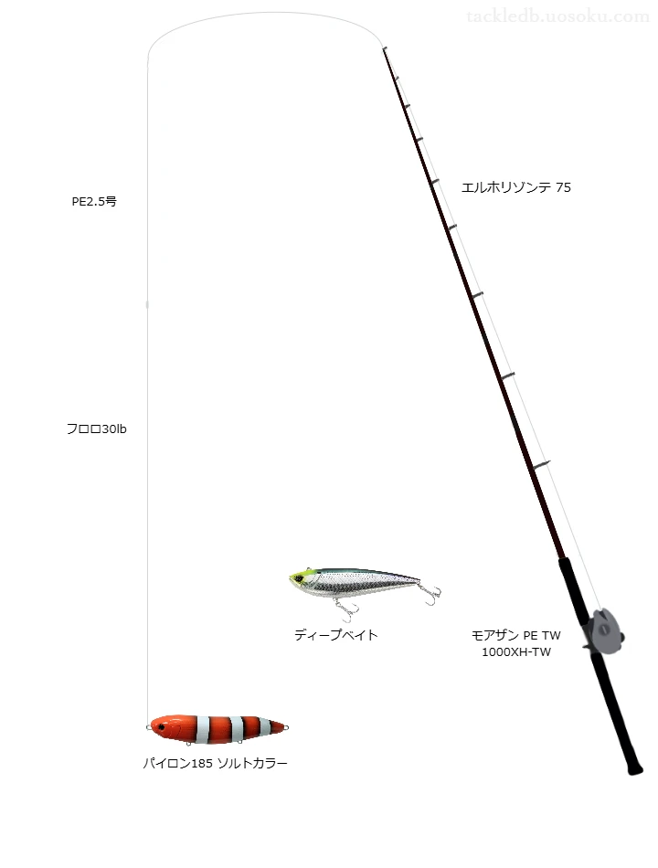 エルホリゾンテ 75,モアザン PE TW 1000XH-TW,ペンシルを使うボートシーバスタックル【仮想インプレ】