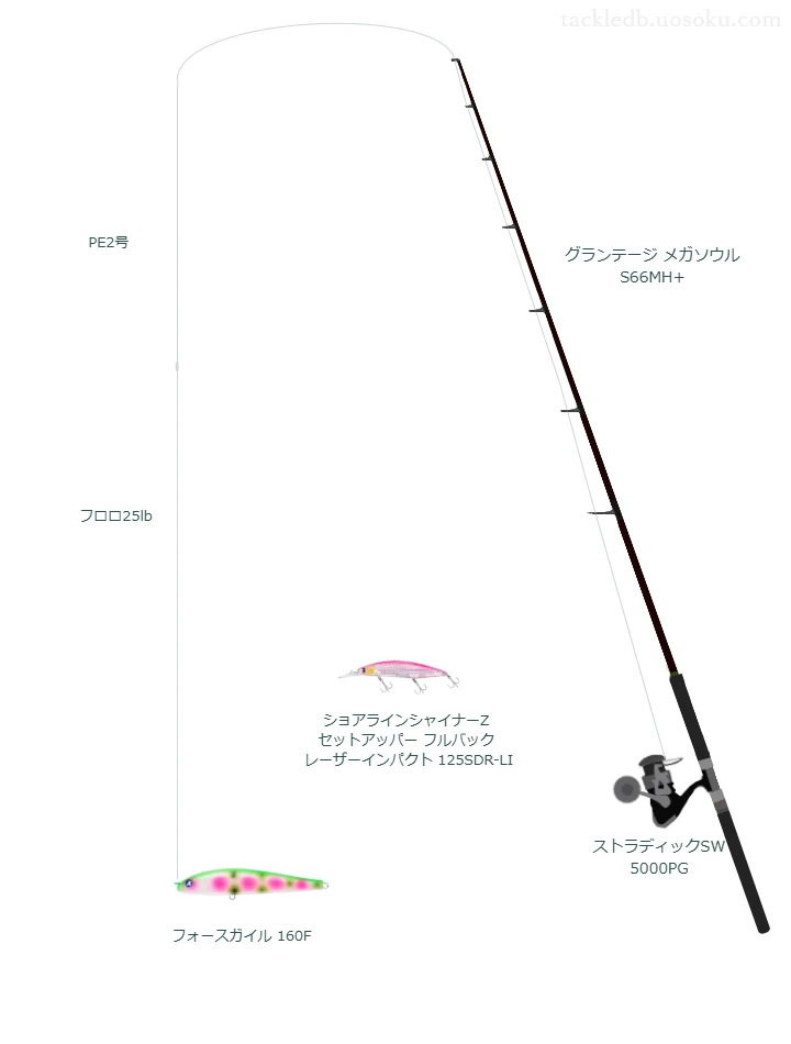 ロッドはAPIA,リールはシマノでフォースガイル 160Fを使うシーバスタックル。【小浜湾】