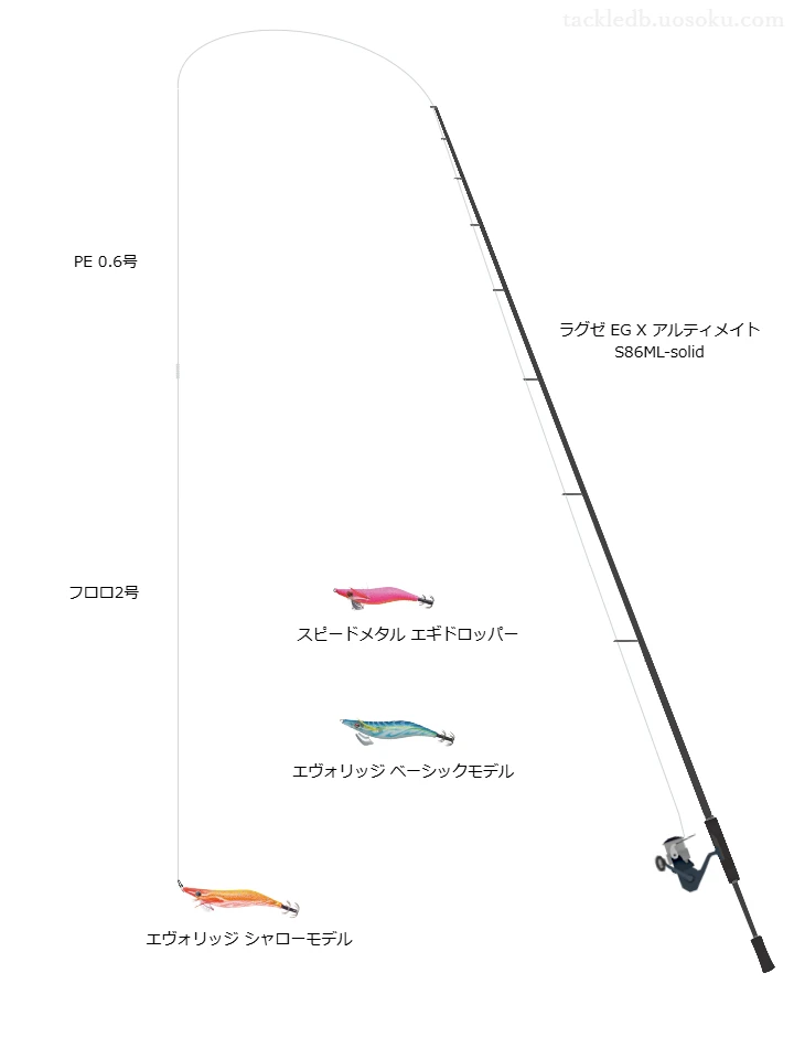 南紀秋イカランガンエギングタックル