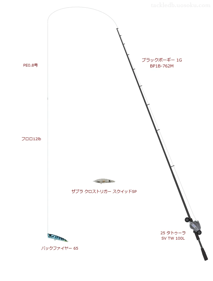 ブラックポーギー 1G BP1B-762Mと25 タトゥーラ SV TW 100L,バックファイヤー 65によるチニングタックル【仮想インプレ】