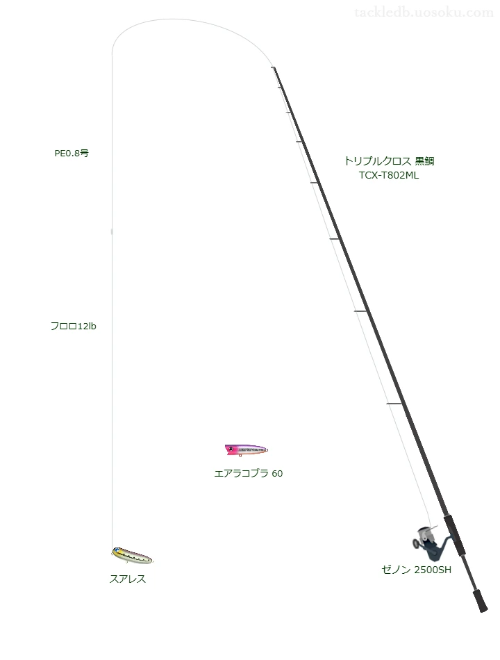 【舞鶴湾】スアレスのためのチニングタックル【トリプルクロス 黒鯛 TCX-T802ML】