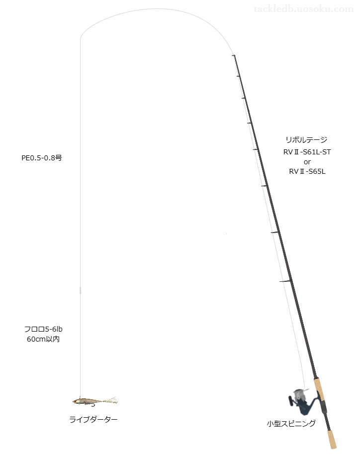 ライブダーターにはこのようなタックルが適しています。