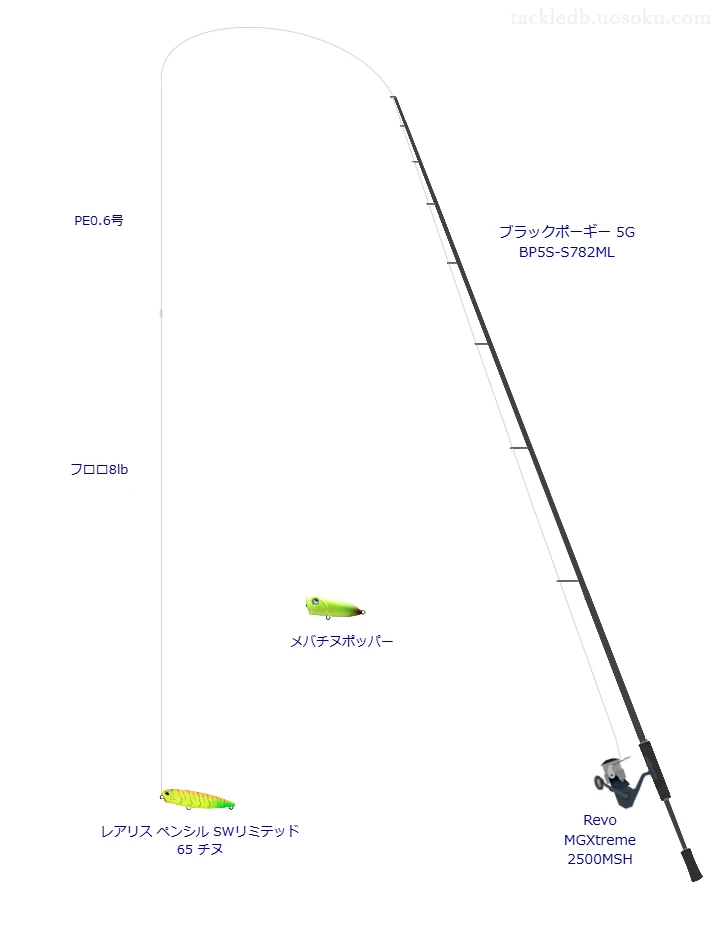 シーガー PEX8 0.6号とソアレ リーダー EX フロロ 8lbを使用したチニングタックル【ブラックポーギー 5G BP5S-S782ML】