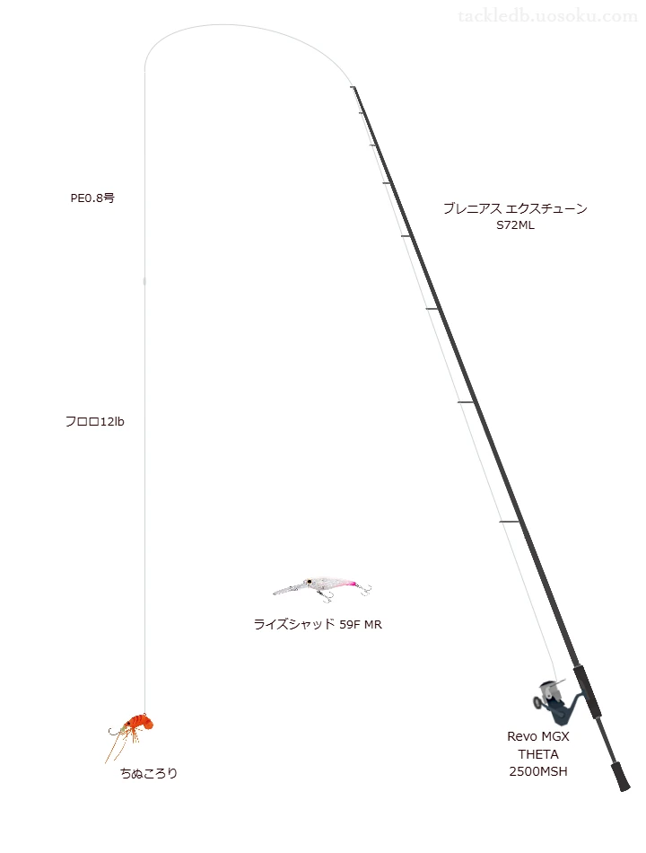 ジャクソンのちぬころりの仮想使用におけるインプレッション