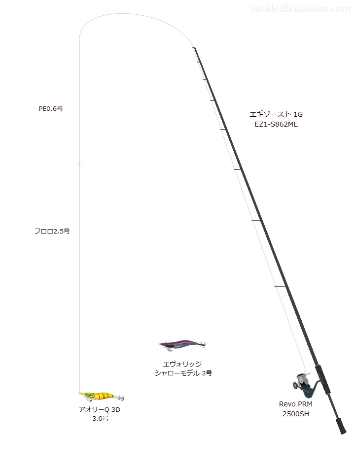 エギゾースト 1G EZ1-S862MLを使用した最強エギングタックル