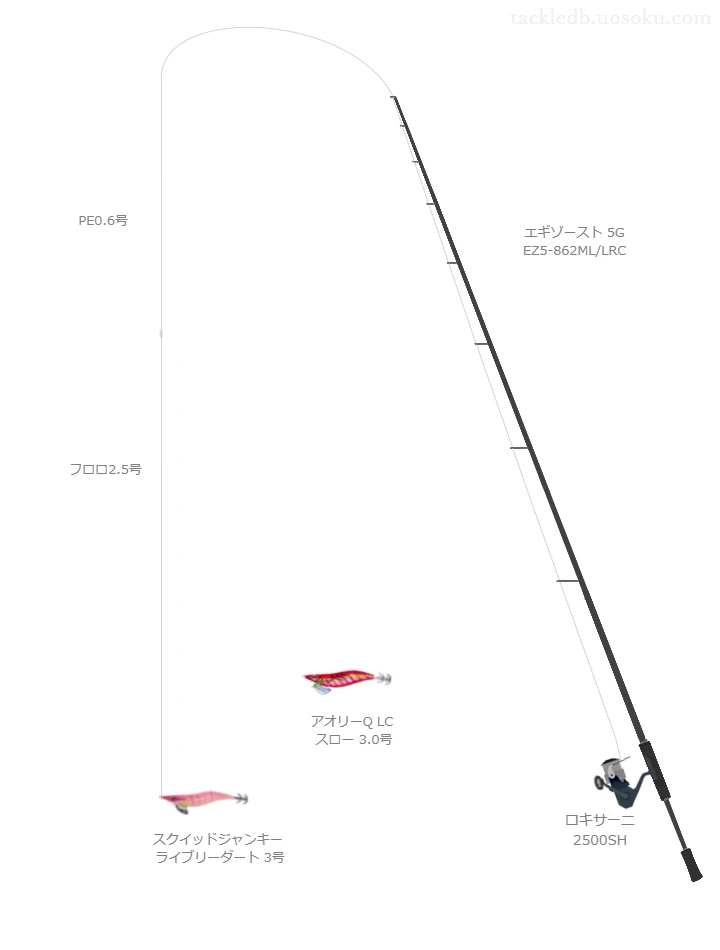 エギゾースト 5G EZ5-862ML/LRCとスクイッドジャンキー ライブリーダート 3号による最強エギングタックル