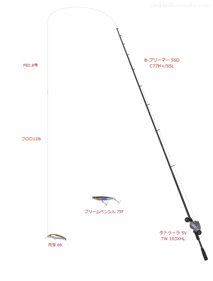 【Vインプレ】月虫 66用チニングタックル【B-ブリーマー SSD C77M+/SSL】