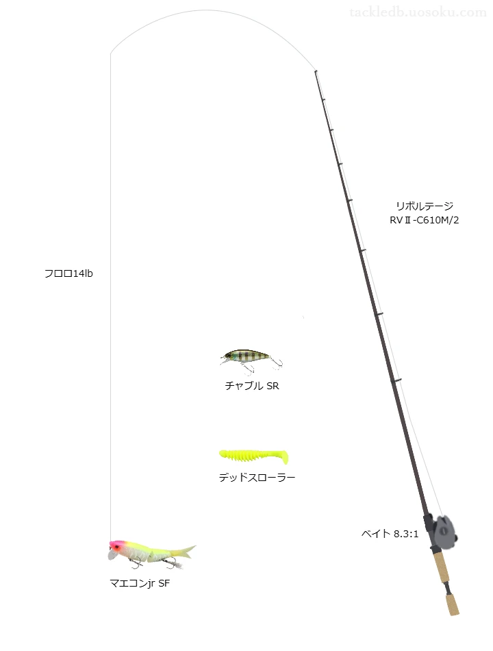 柳川クリークおかっぱりバス釣りタックル