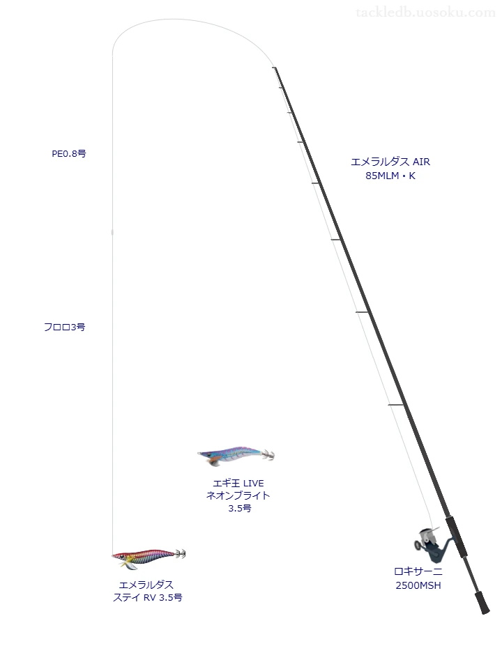 セフィア 8+ 0.8号とソルティメイト エギリーダーBS 3号を使用したエギングタックル【エメラルダス AIR 85MLM・K】