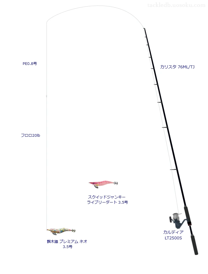 カリスタ 76ML/TJと餌木猿プレミアム ネオ3.5号による最強エギングタックル