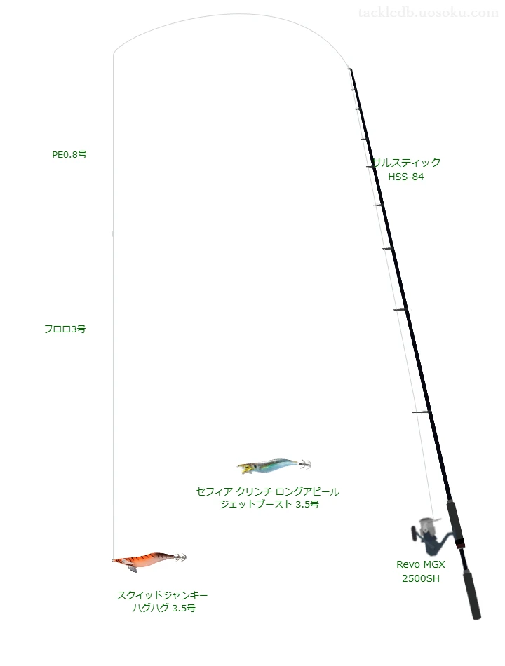 号数が3.5号程度のエギのためのエギングタックル【スクイッドジャンキー ハグハグ 3.5号】