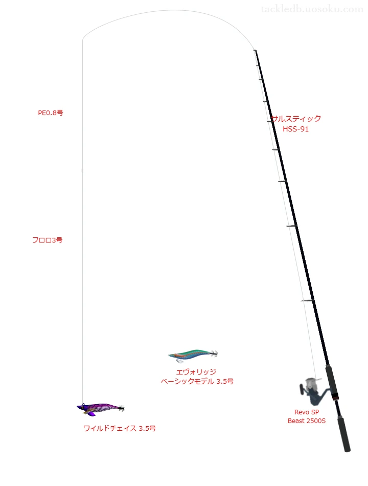 ワイルドチェイス 3.5号のためのエギングタックル