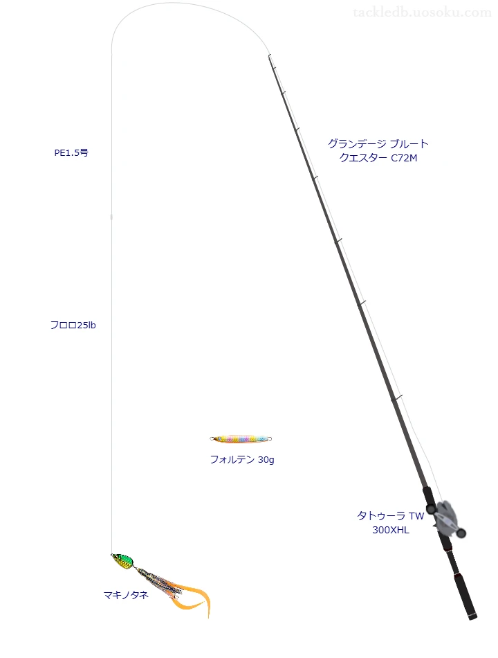 マキノタネのためのロックフィッシュタックル。APIAのロッドとダイワのリール