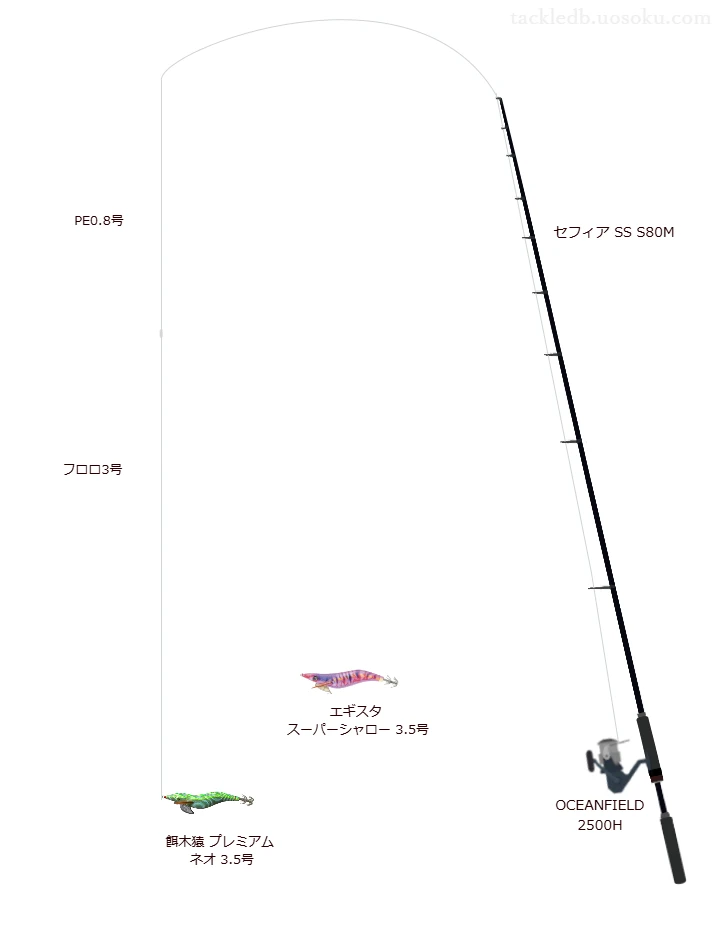 セフィア SS S80Mでを使うエギングタックル【仮想インプレ】