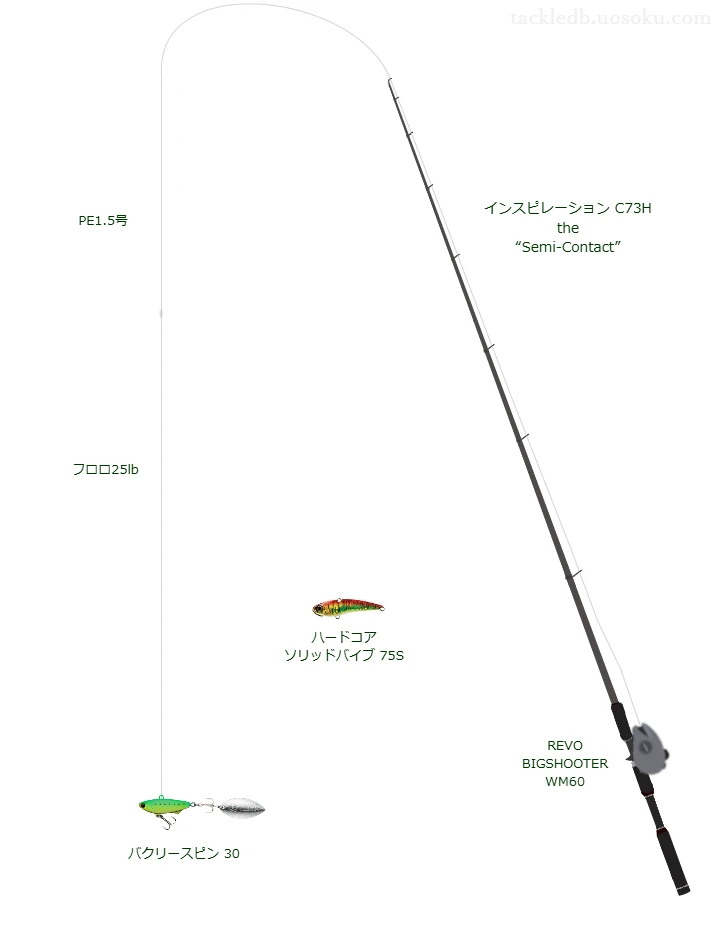 バクリースピン 30のためのロックフィッシュタックル【インスピレーション C73H】