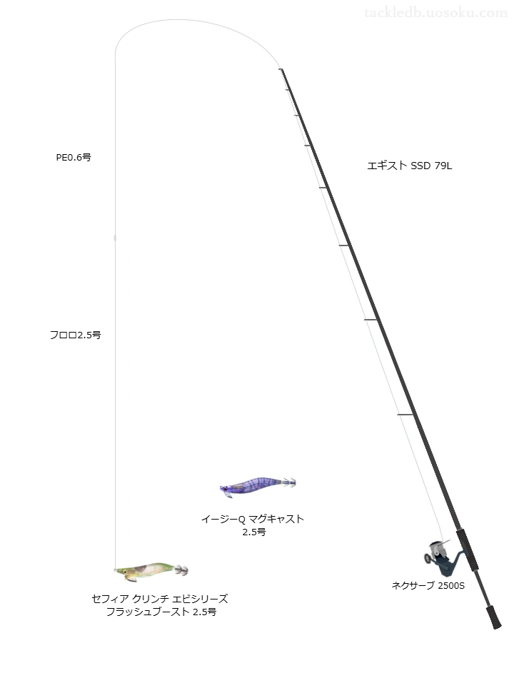 エギスト SSD 79L,ネクサーブ 2500S,を使うエギングタックル【仮想インプレ】