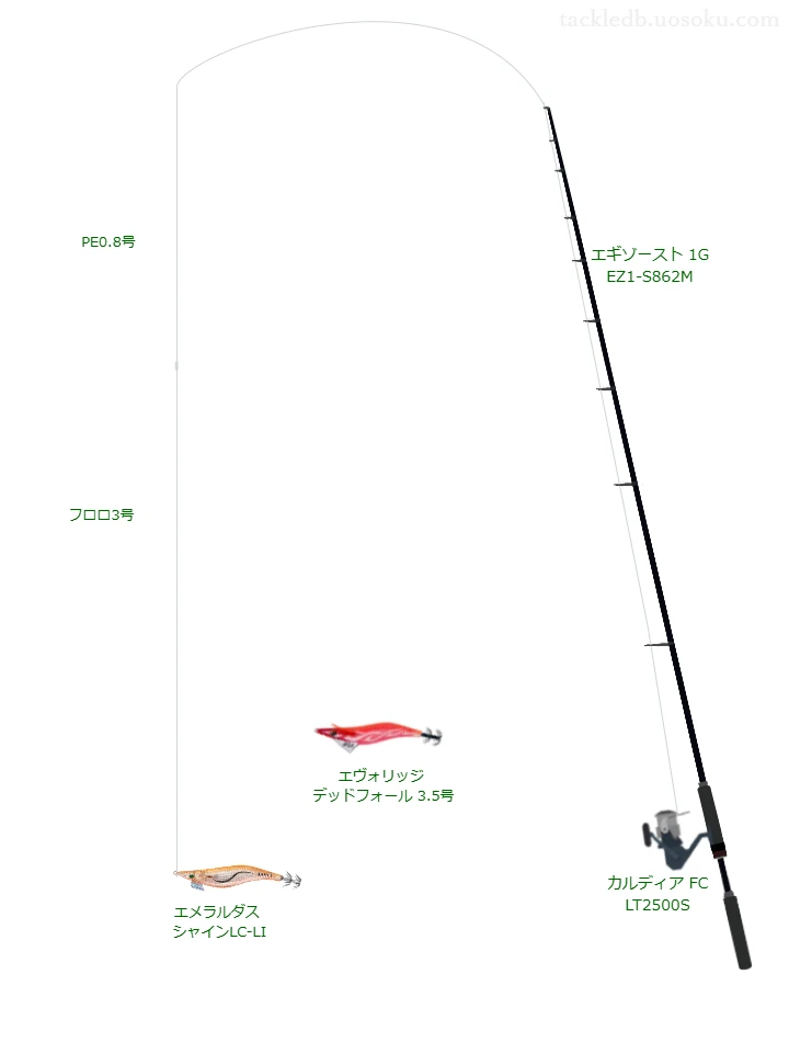 エギゾースト 1G EZ1-S862Mとカルディア FC LT2500S,PE0.8号によるエギングタックル
