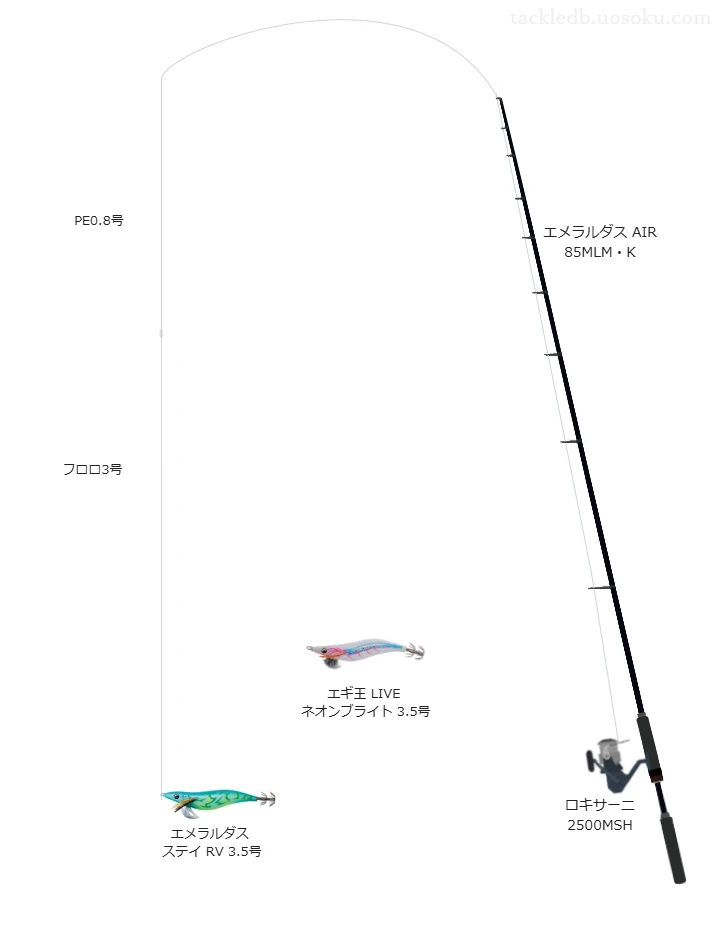 セフィア 8+ 0.8号とソルティメイト エギリーダーBS 3号を使用したエギングタックル【エメラルダス AIR 85MLM・K】