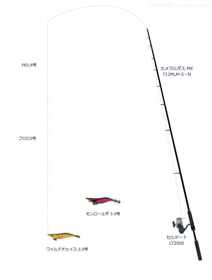 エメラルダス MX 711MLM-S・NとPE0.8号ラインによるエギングタックル