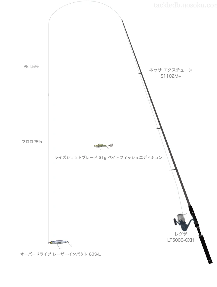 ソルティメイト PEエギULT HS4 1.5号とソルティメイト システムショックリーダーSV-1 25lbを使用したサーフタックル【ネッサ エクスチューン S1102M+】