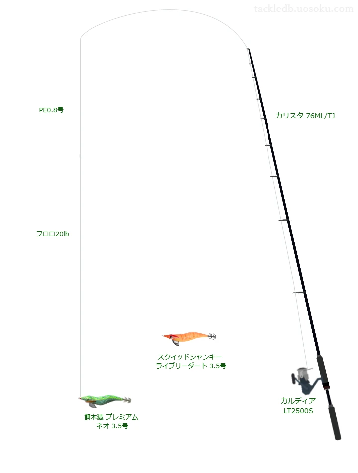 カリスタ 76ML/TJと餌木猿プレミアム ネオ3.5号による最強エギングタックル