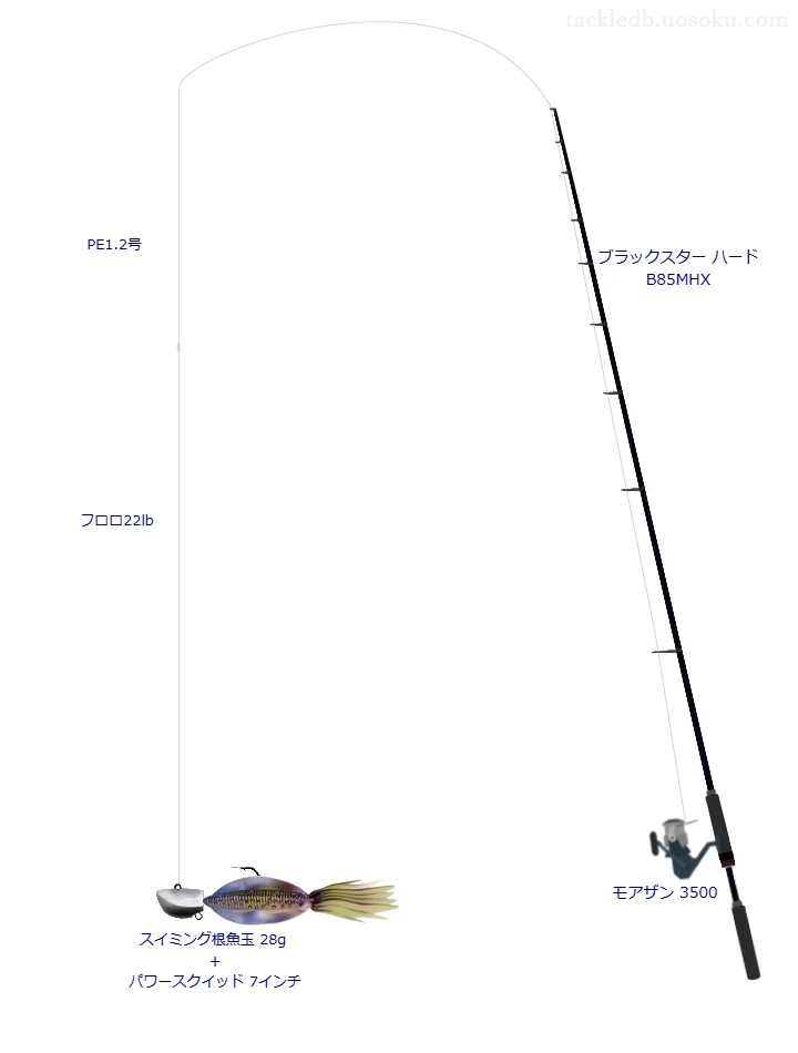 ハードブル 8+ 1.2号とフロロショックリーダー 22lbを使用したロックフィッシュタックル【ブラックスター ハード B85MHX】