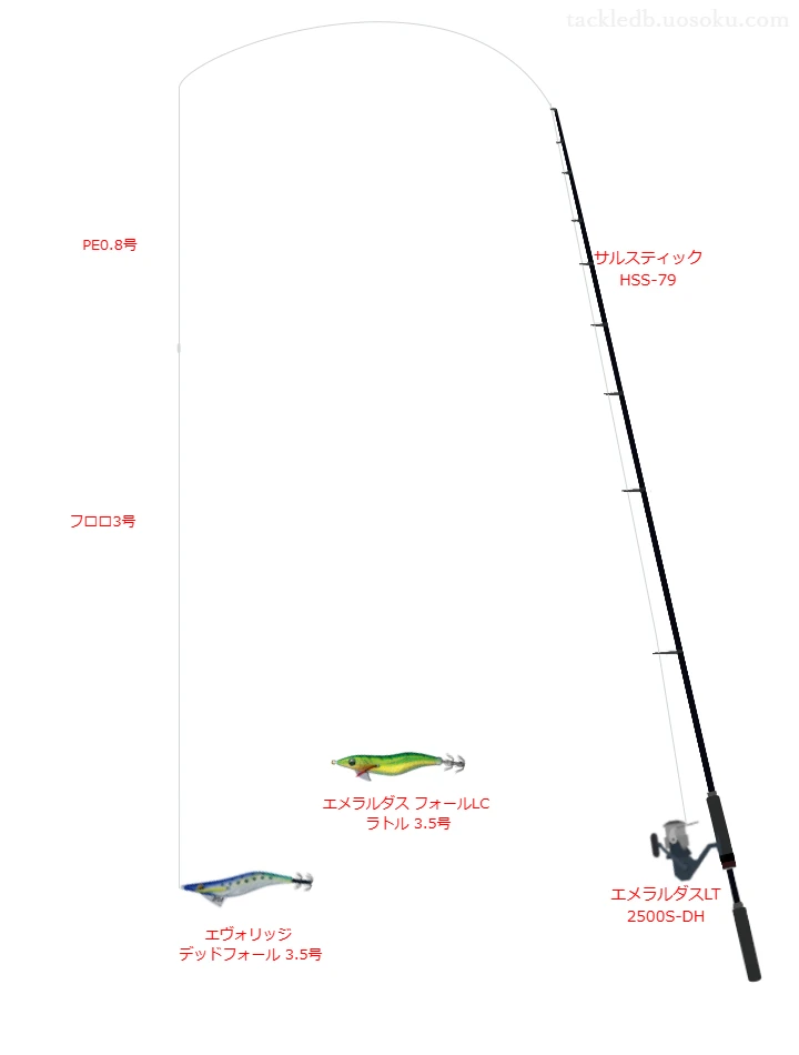 サルスティック HSS-79とダイワのリールでエヴォリッジ デッドフォール 3.5号を使用するタックル