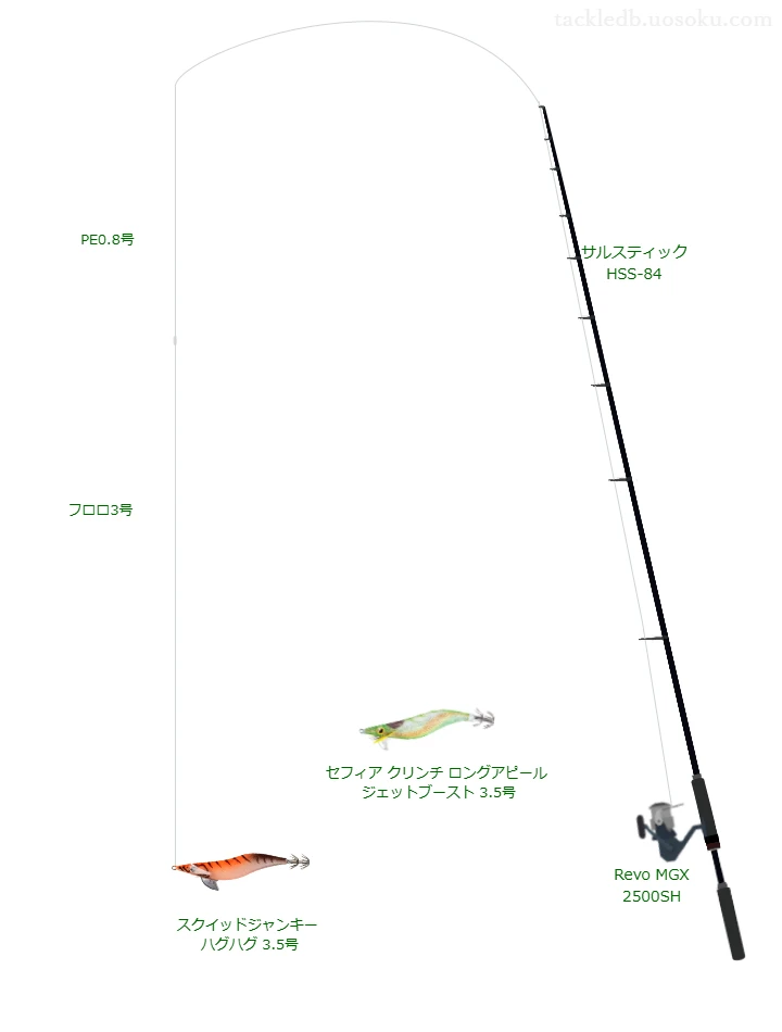 号数が3.5号程度のエギのためのエギングタックル【スクイッドジャンキー ハグハグ 3.5号】