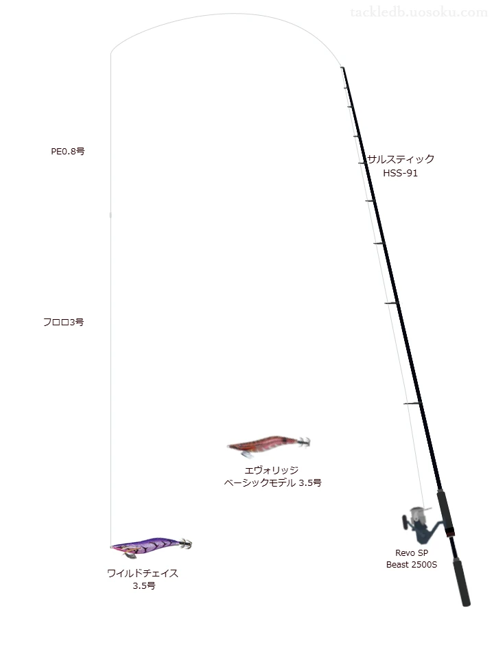 ワイルドチェイス 3.5号のためのエギングタックル