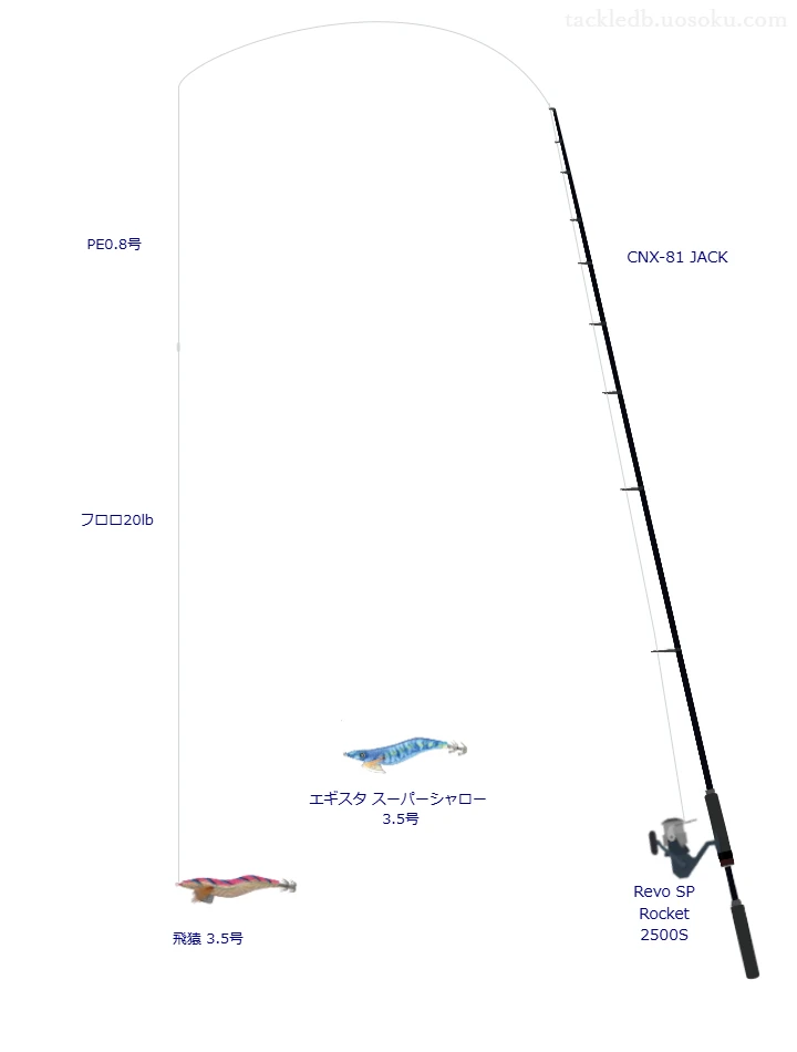 CNX-81 JACKとRevo SP Rocket 2500S,PE0.8号によるエギングタックル