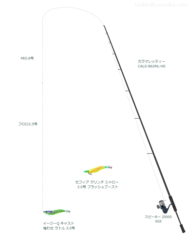 アオリイカカラーズ4 0.6号とWILDJERK EGI リーダー 2.5号を使用したエギングタックル【カラマレッティー CALS-862ML-HS】