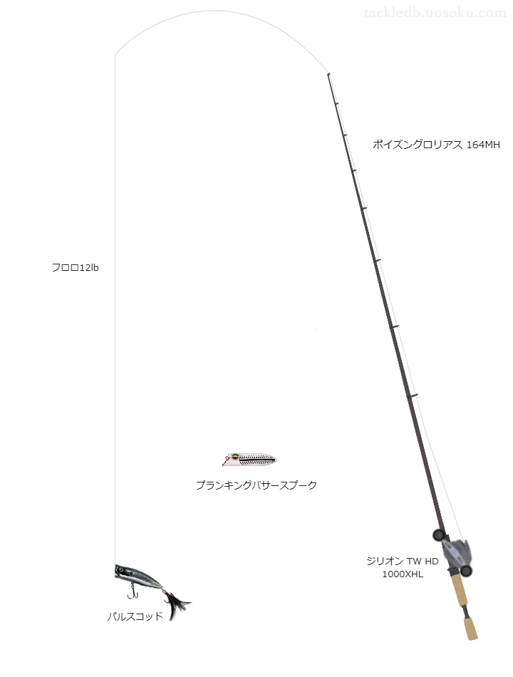 パルスコッドのためのバス釣りタックル【ポッパー】