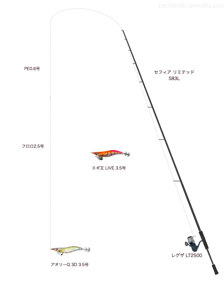 アオリーQ 3D 3.5号を使いこなすタックル【仮想インプレ】