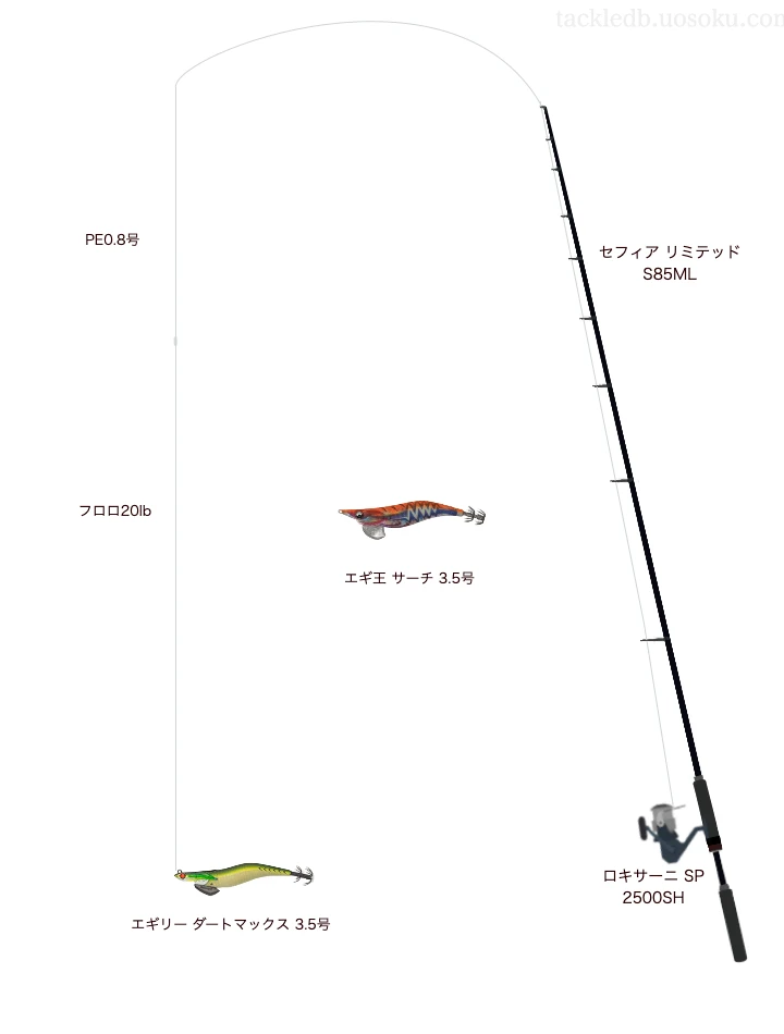 ANSWER JIGGING PE×8 0.8号とFC ABSORBER 20lbを使用したエギングタックル【セフィア リミテッド S85ML】