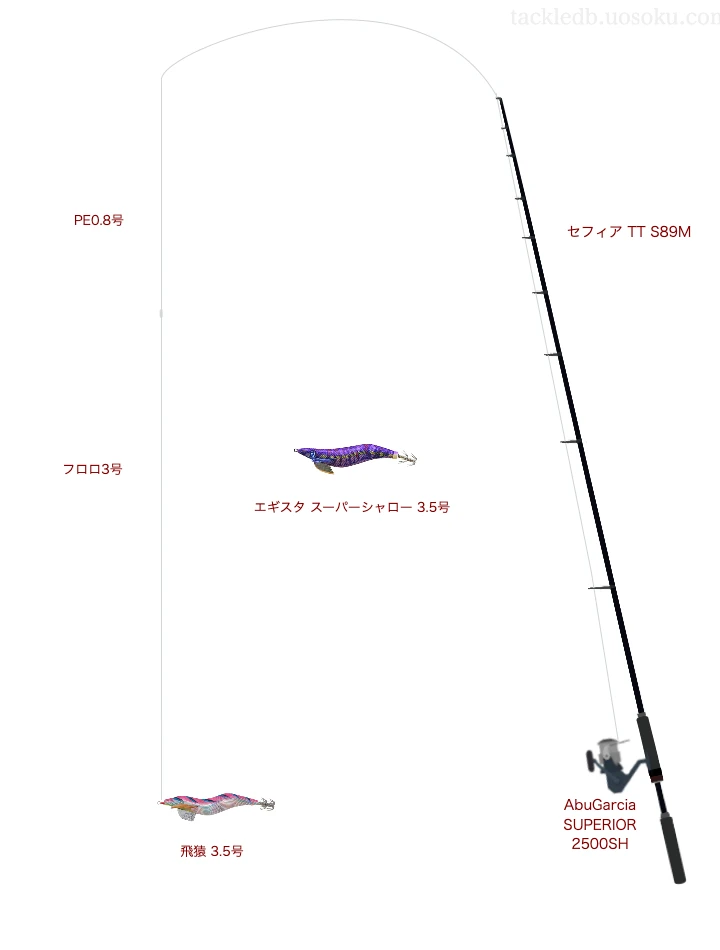 号数が3.5号程度のエギのためのエギングタックル【飛猿3.5号】