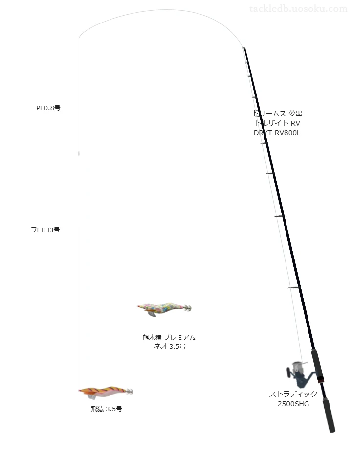 ストラディック 2500SHGにドリームス 夢墨 トルザイト RV DRYT-RV800Lを合わせるエギングタックル