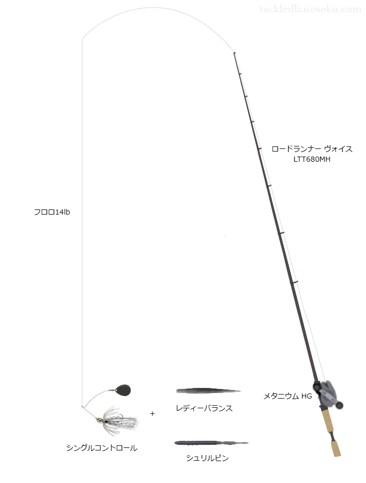 【相模湖】シングルコントロール用タックル