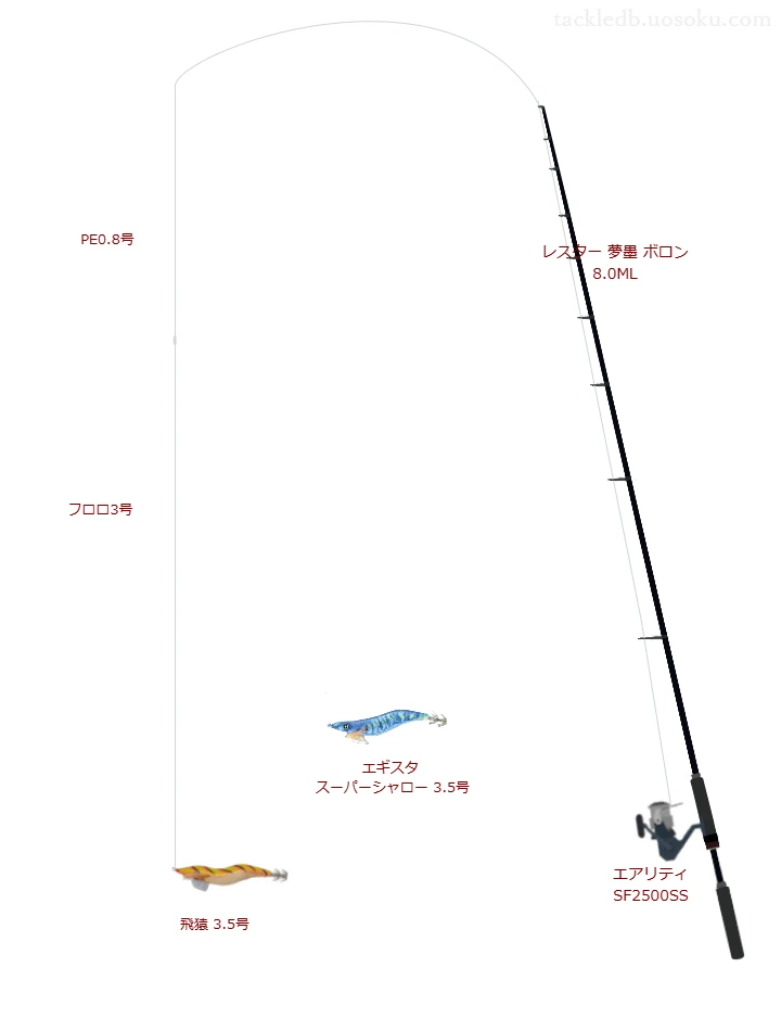 エアリティ SF2500SSにレスター 夢墨 ボロン 8.0MLを合わせるエギングタックル